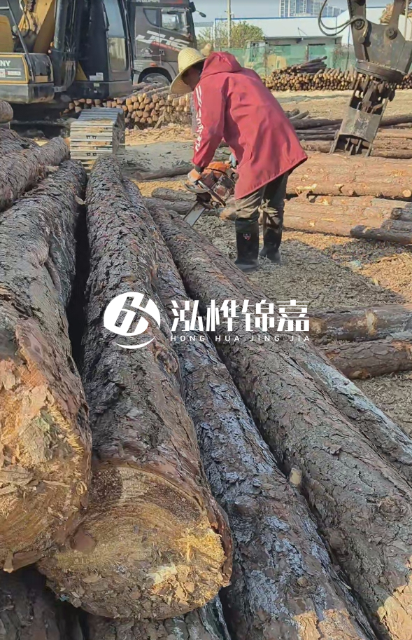 長(zhǎng)沙打樁木批發(fā)廠家在哪里？聯(lián)系方式是什么？