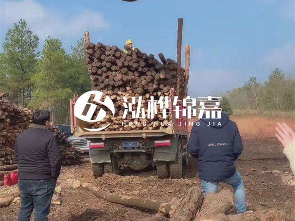 防腐木樁價格比普通木樁貴多少？防腐木樁有哪些處理方式？