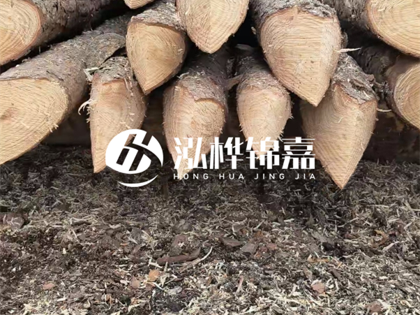 打樁木樁與鋼樁相比有哪些優缺點？如何進行后期維護？