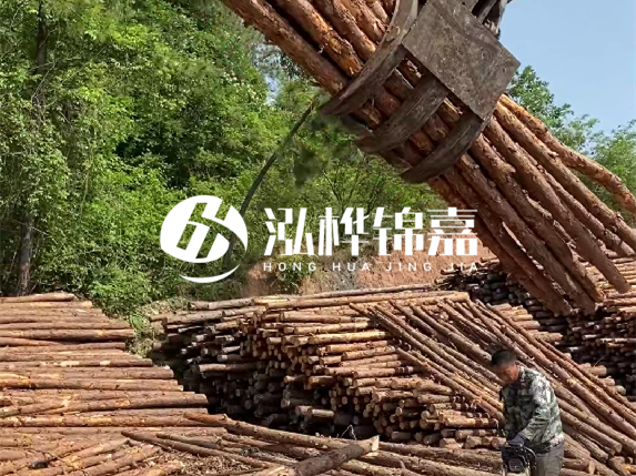 哪里能買到優(yōu)質(zhì) 3 米松木樁？長沙有松木樁批發(fā)工廠嗎？