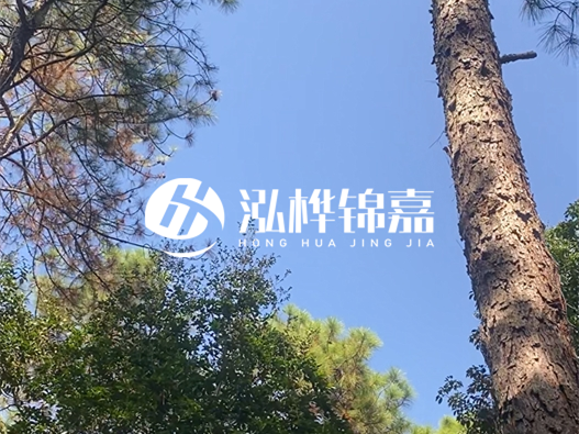 松木樁廠家泓樺錦嘉可以實地考察嗎？需要提前預約嗎？