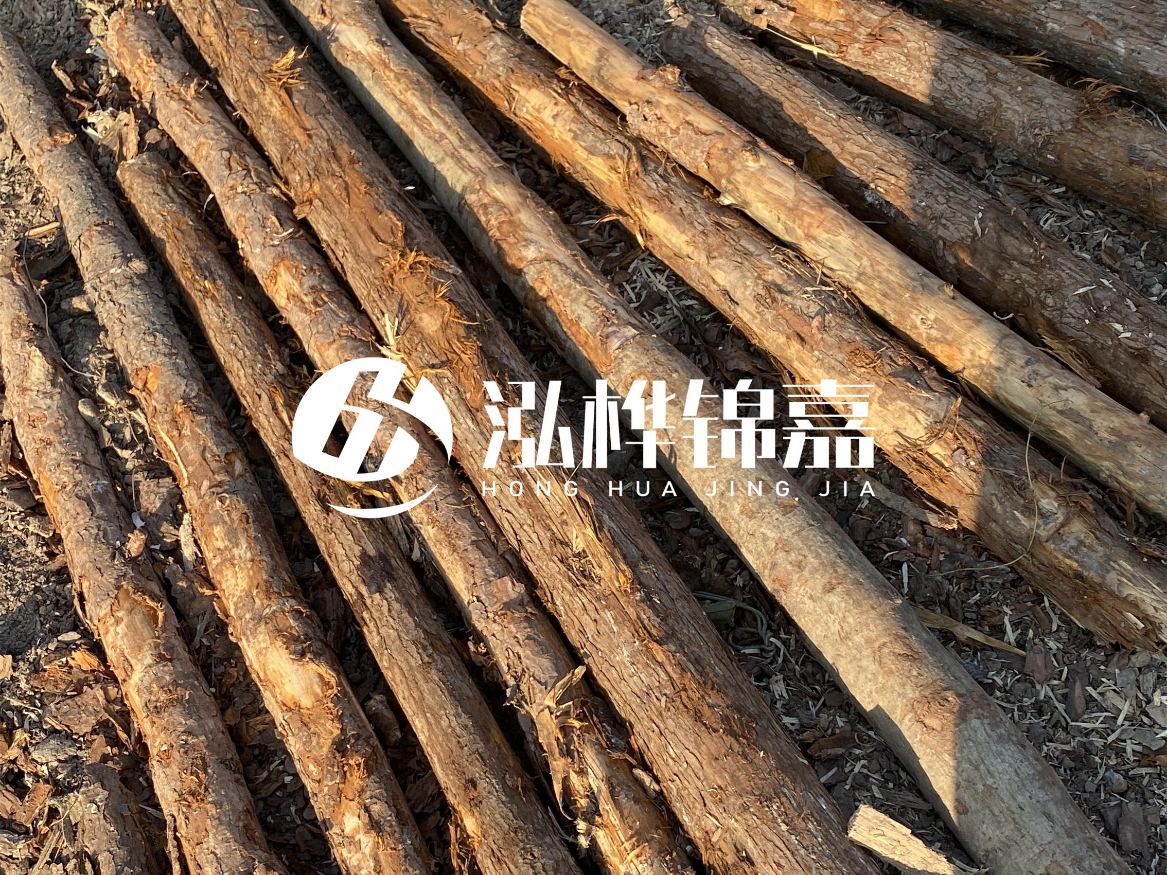 河道木樁多少錢一根？河道木樁的使用以及保養方法?