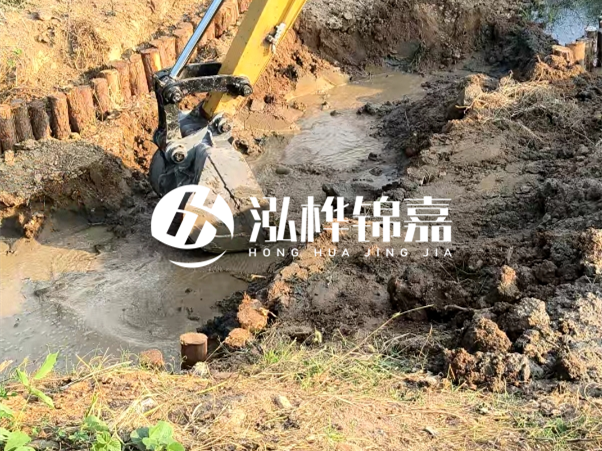 廣東松木樁批發廠家 - 3 米小頭 8CM 松木樁多少錢？