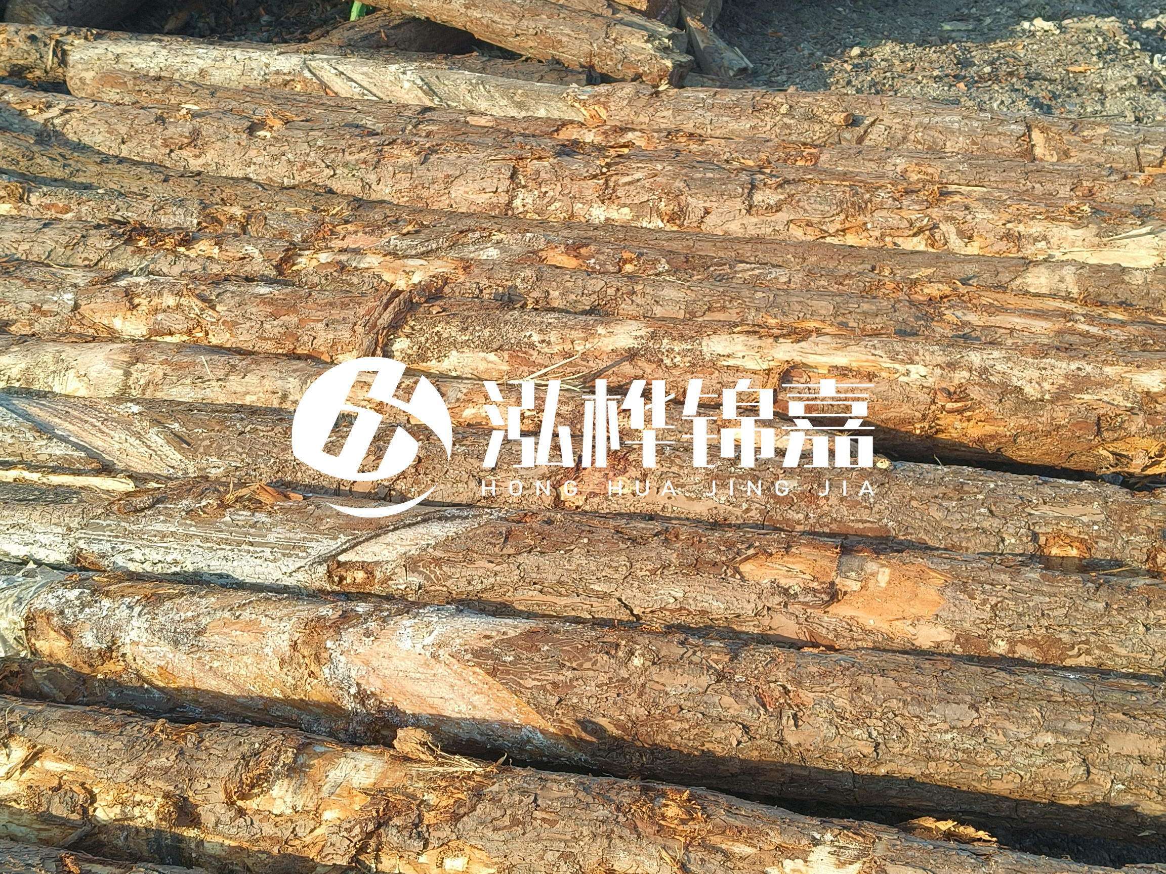 河道木樁的含水率過(guò)高會(huì)有什么問(wèn)題？怎么檢查松木樁含水率？