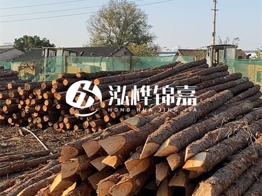 松木樁施工隊(duì)泓樺錦嘉 - 河道打樁用什么木樁?