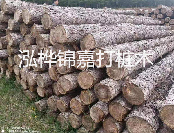 高效修補(bǔ)，保駕護(hù)航！水泥路面高強(qiáng)度修補(bǔ)料為您解決煩惱！